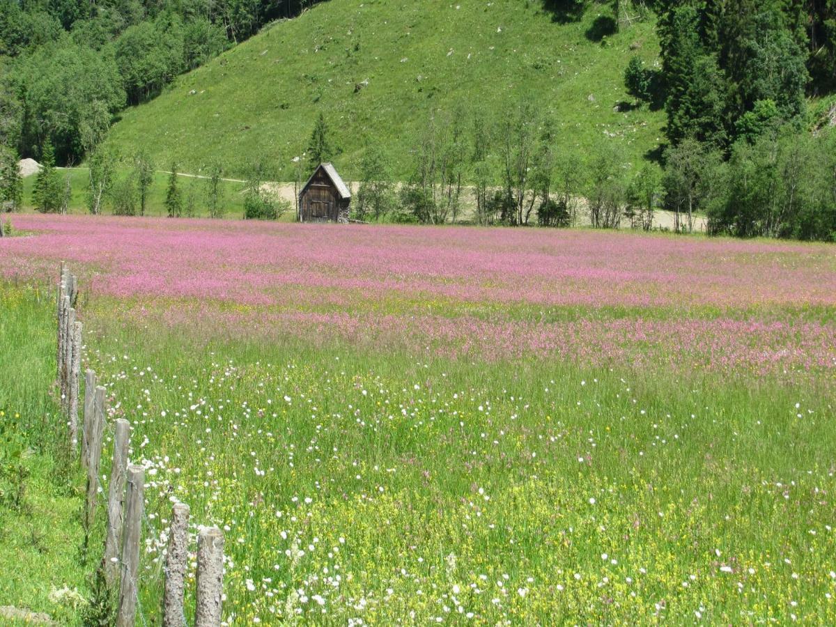 슈라드밍 Strickhof 빌라 외부 사진